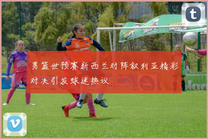 男篮世预赛新西兰对阵叙利亚精彩对决引发球迷热议